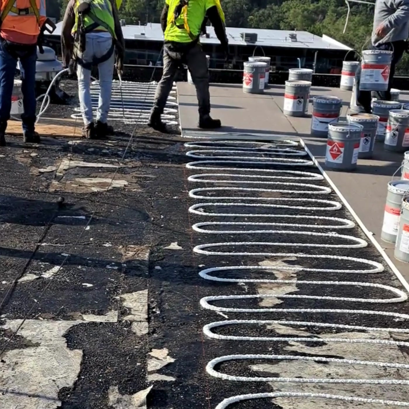 Cuadrilla de techado trabajando en una cubierta plana comercial con adhesivo aplicado en cordones sobre el sustrato
